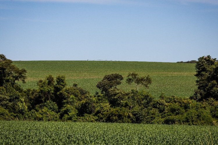 Funrural, qual a melhor opção?